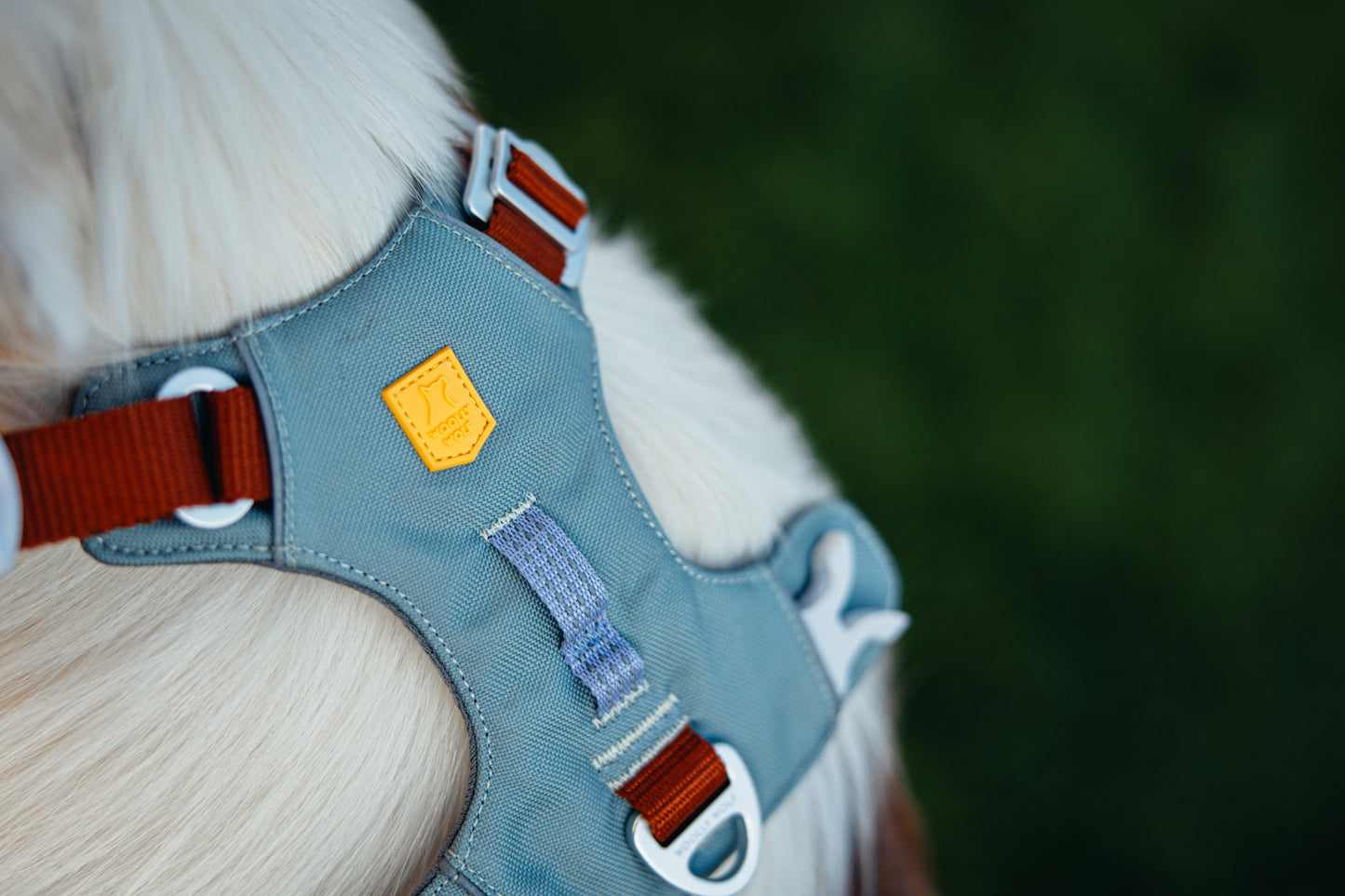 Woolly Wolf Alpha 360 hám - Glacier green