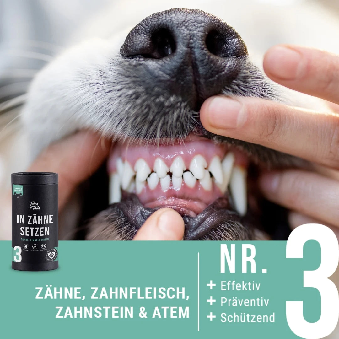 Tales & Tails Funkcionális jutalomfalat kutyáknak - Viszlát Fogkő - 15gr TESZT csomag