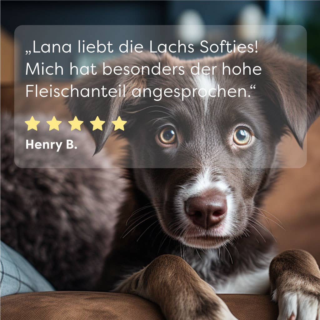 Dr SAM Lachs Softies jutalomfalat kutyáknak - vásárló visszajelzés