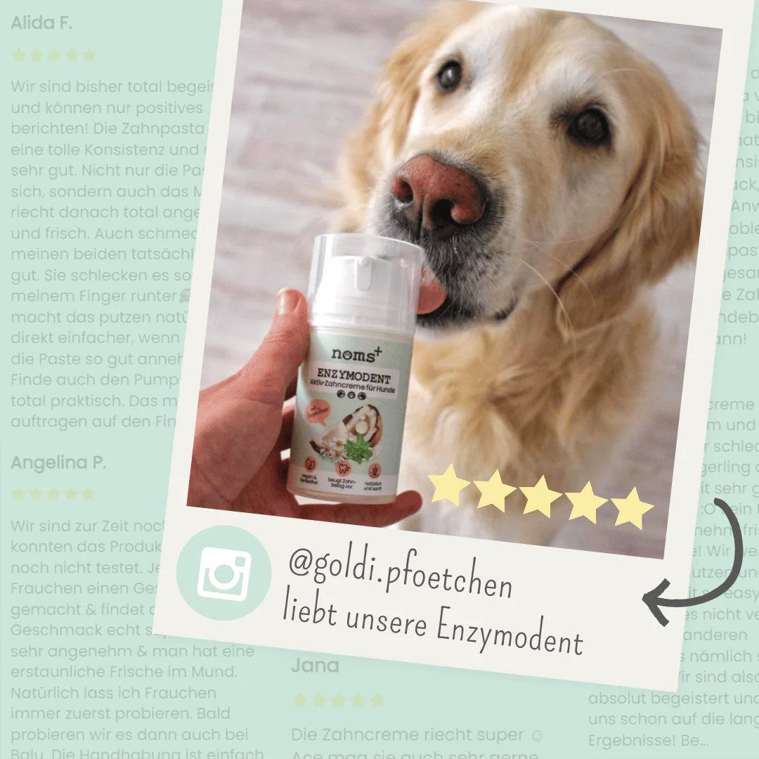 Enzimatikus kutyafogkrém - Enzymodent (75 ml)