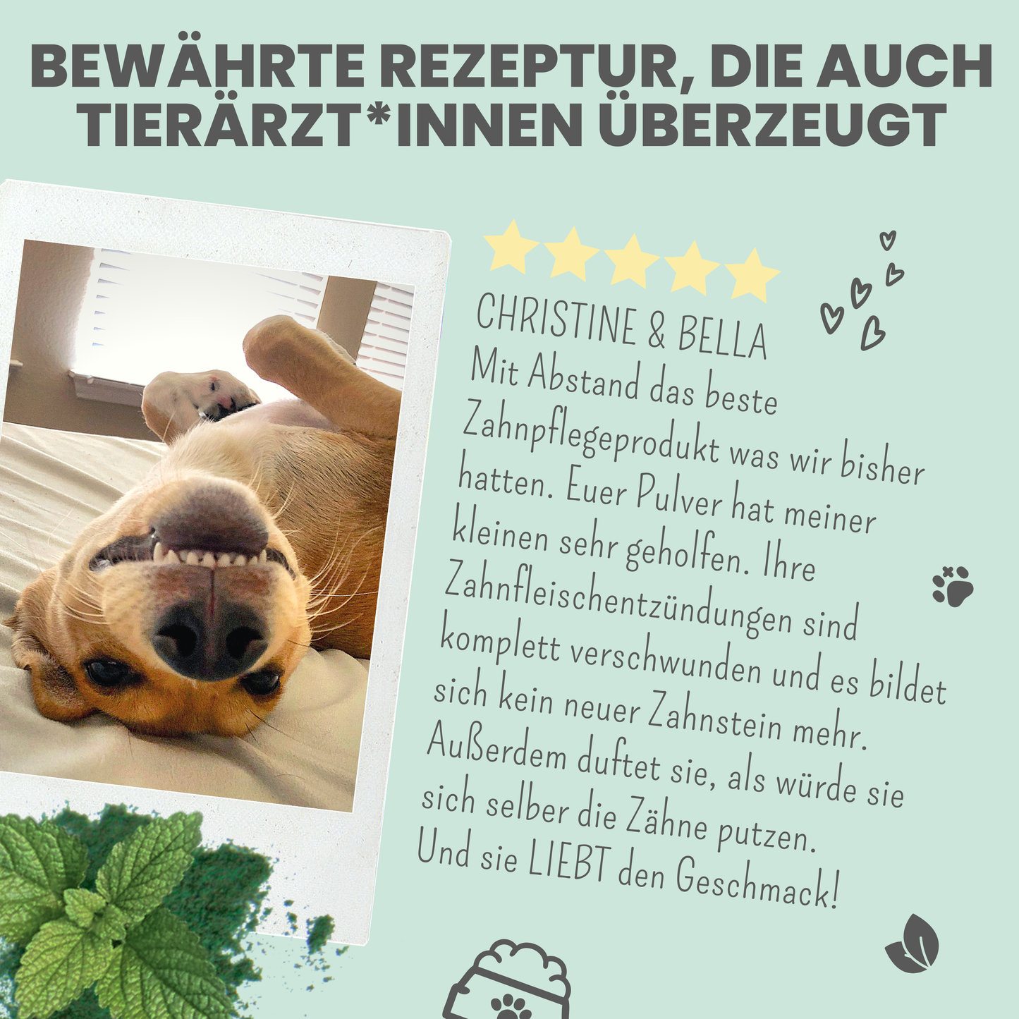 Noms+ Dentalmix természetes fogápoló por kutyáknak pozitív vásárlói visszajelzés