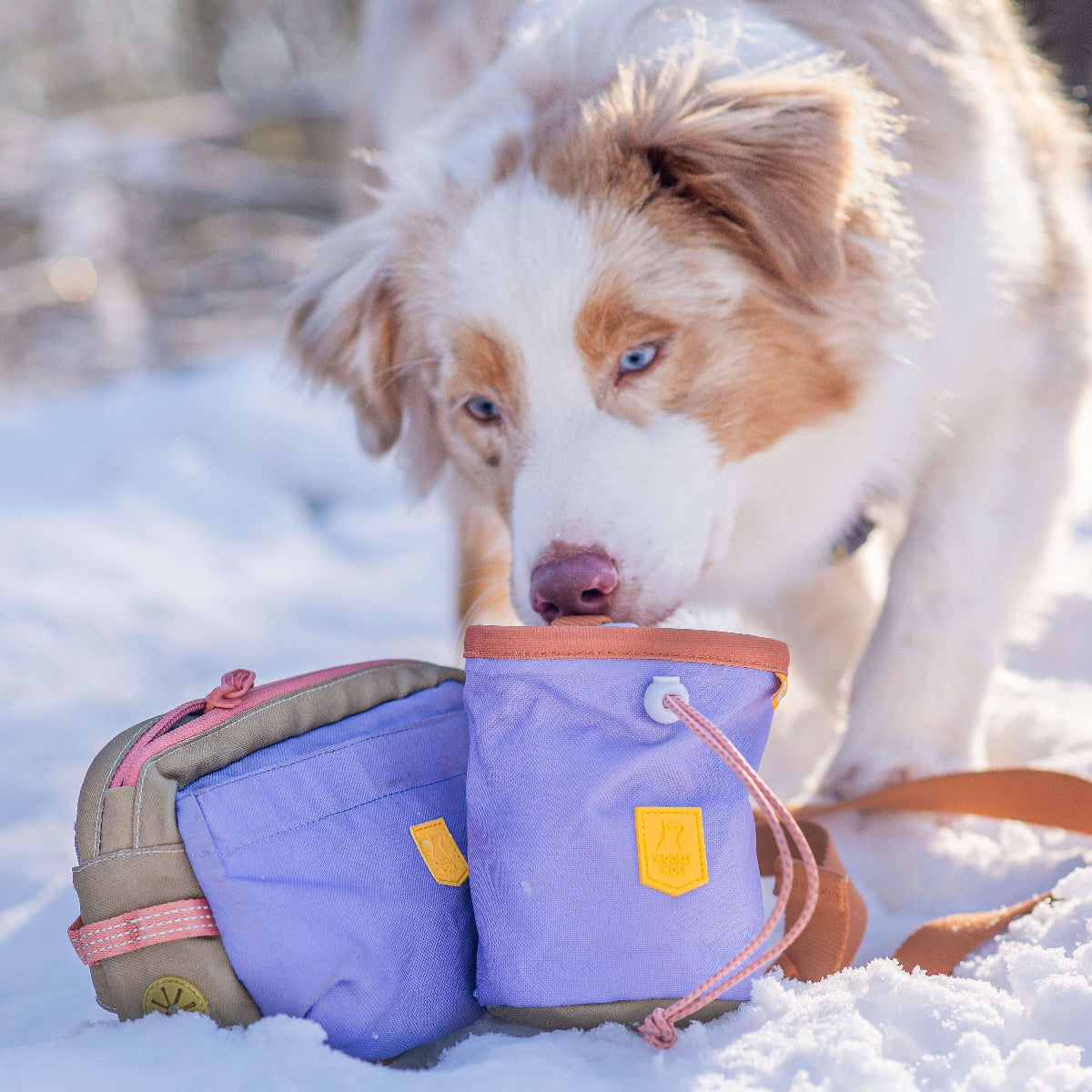 Woolly Wolf Alpha 360 jutalomfalat tartó kutyáknak – Lavender