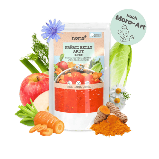 Präbio Belly Acute - növényi alapú, koncentrált bélflóra támogató készítmény kutyák számára