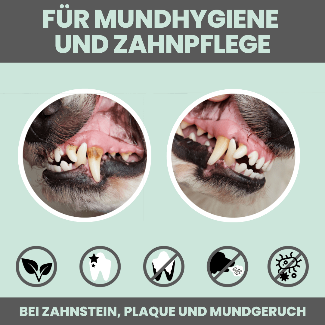 Noms+ Dentalmix természetes fogápoló por előtte utána fotó