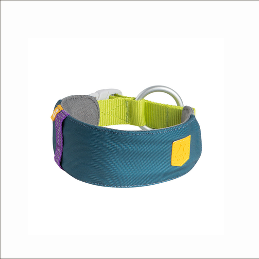 Woolly Wolf Alpha 360 kutyanyakörv Deep Teal színben, újrahasznosított anyagból