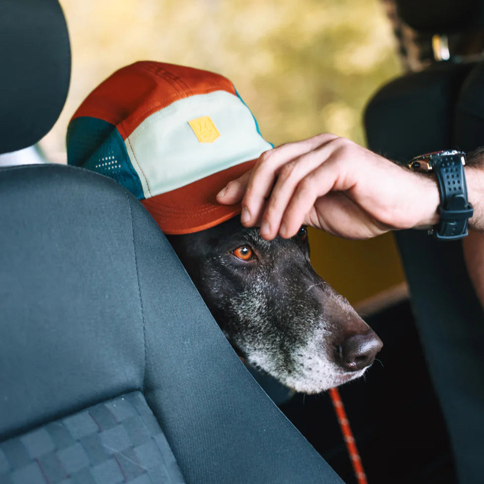 Alpha 360 Tech Cap Terracotta mix kutyás baseball sapka – viselés közben