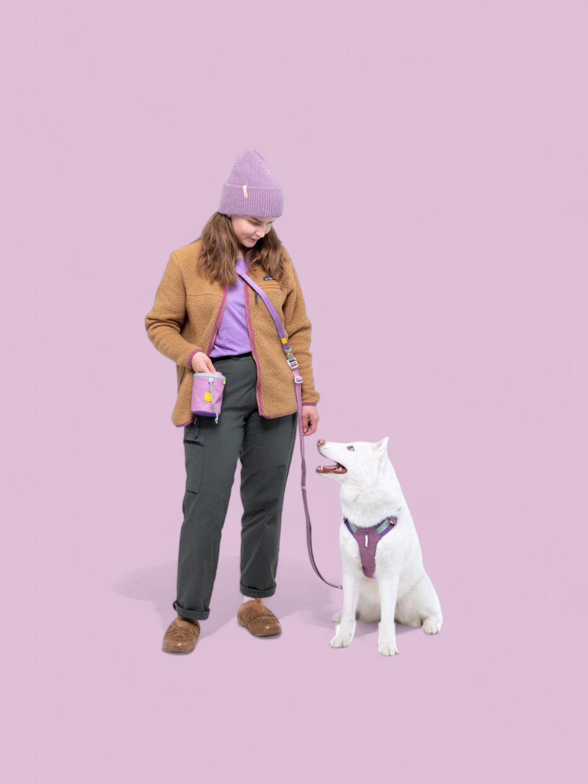 Vízlepergető kutyasnacktartó övre rögzítve – Mauve Mix szín