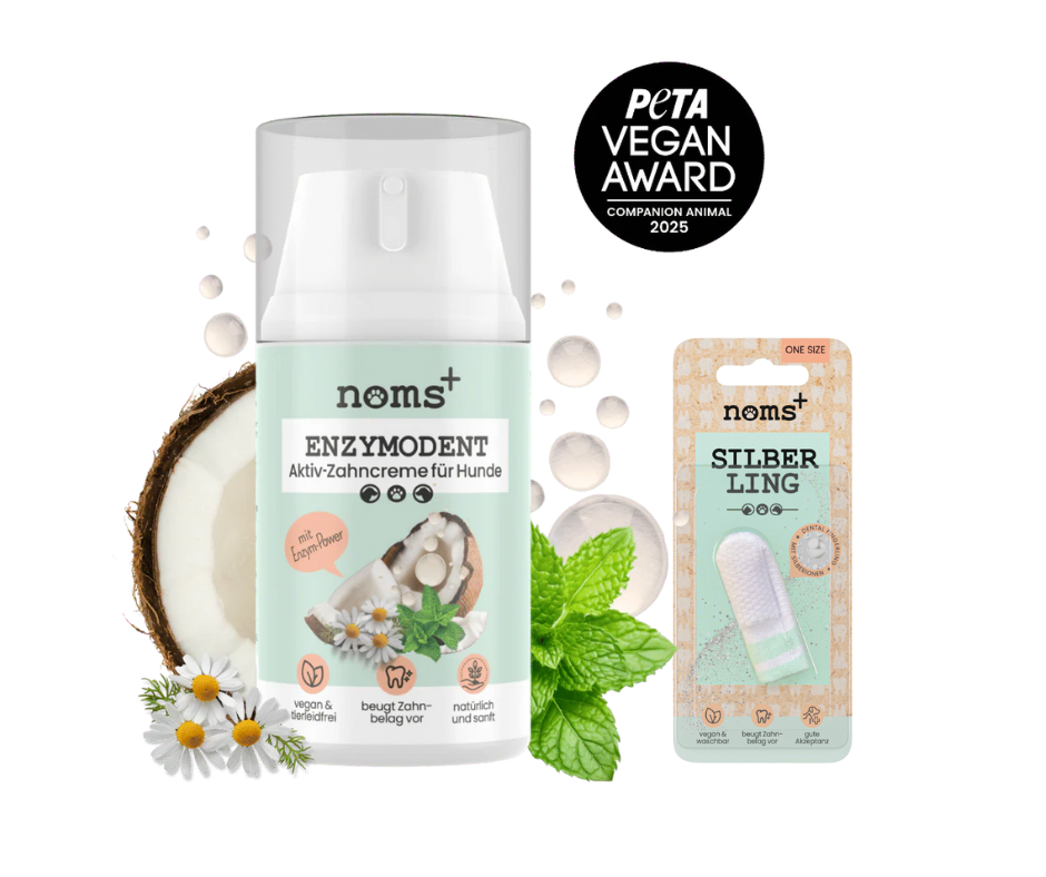 Noms+ Fogápoló csomag - Enzimes fogrém fogtisztító eszközzel és fogtisztító rágcsával