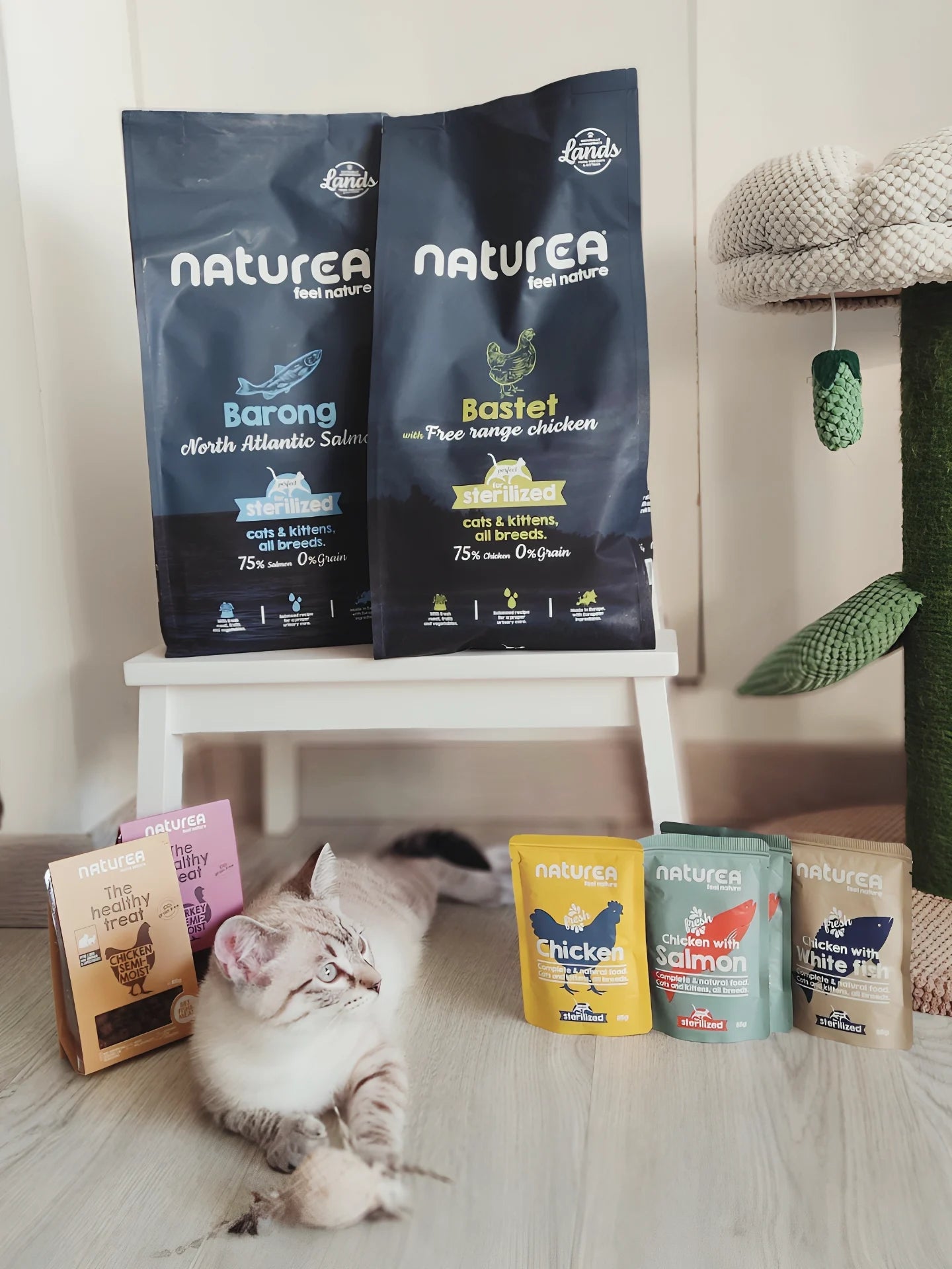 Naturea száraz és nedves cicaeledelek