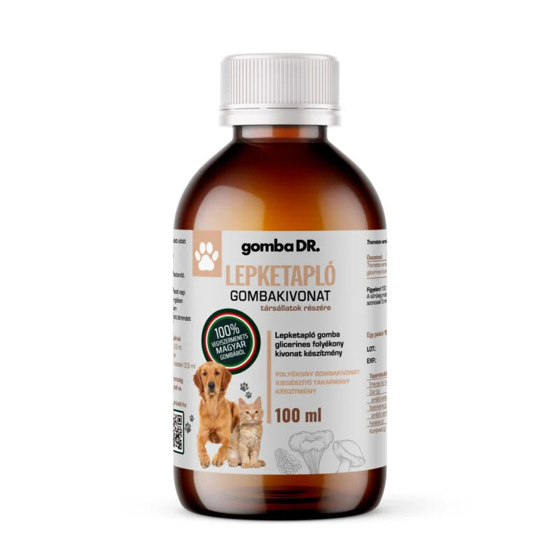 Lepketapló gombakivonat - kutyáknak és macskáknak - immunrendszer erősítő, tumorellenes hatás