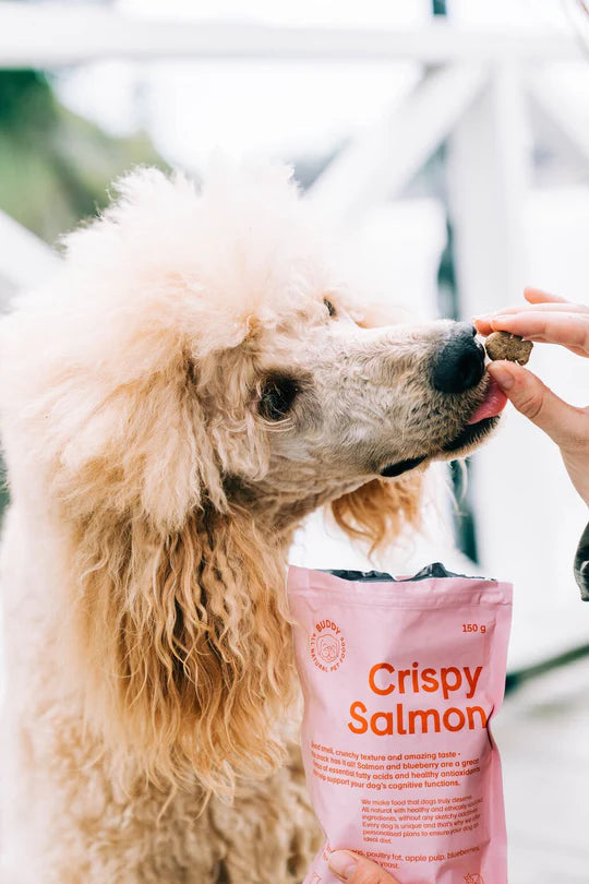 Buddy Crispy Salmon – Ropogós lazacos jutalomfalat kutyáknak