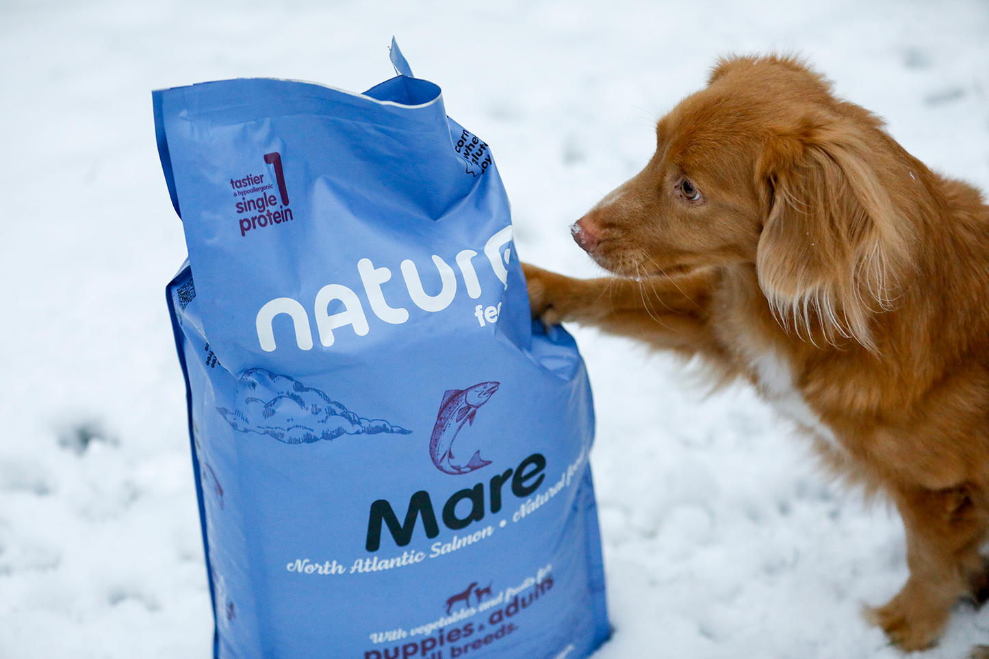 Naturea Naturals MARE - Lazac - Hipoallergén táp kölyök és felnőtt kutyáknak - Kóstoló csomag - 100gr