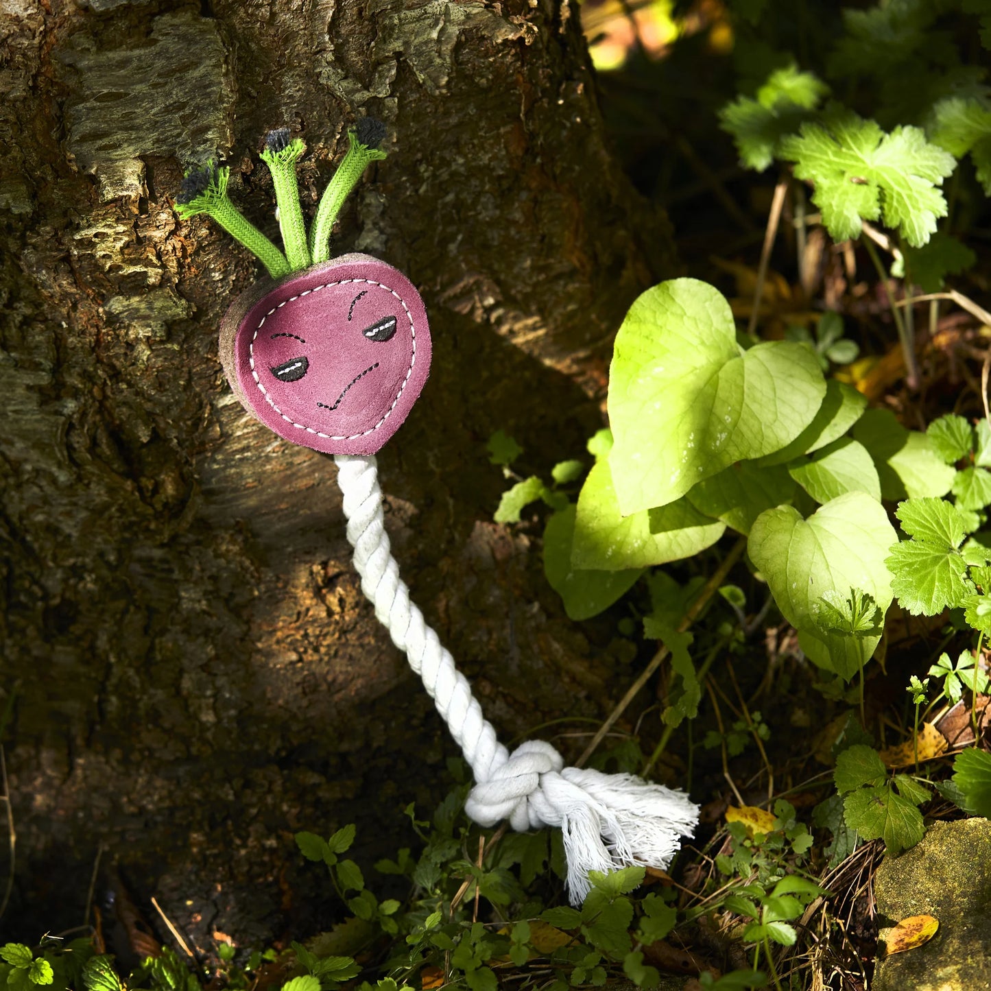 Ruby the Radish - eco kutyajáték