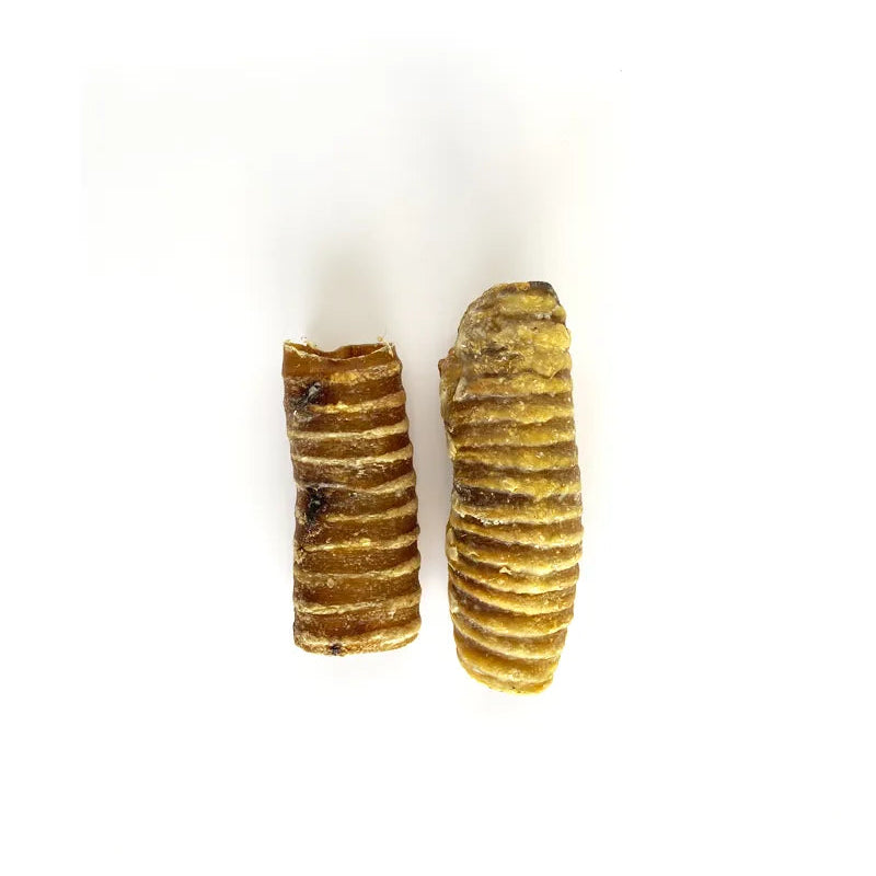 Szárított marhatrachea darab közelről fotózva, fogtisztító rágóka kutyáknak