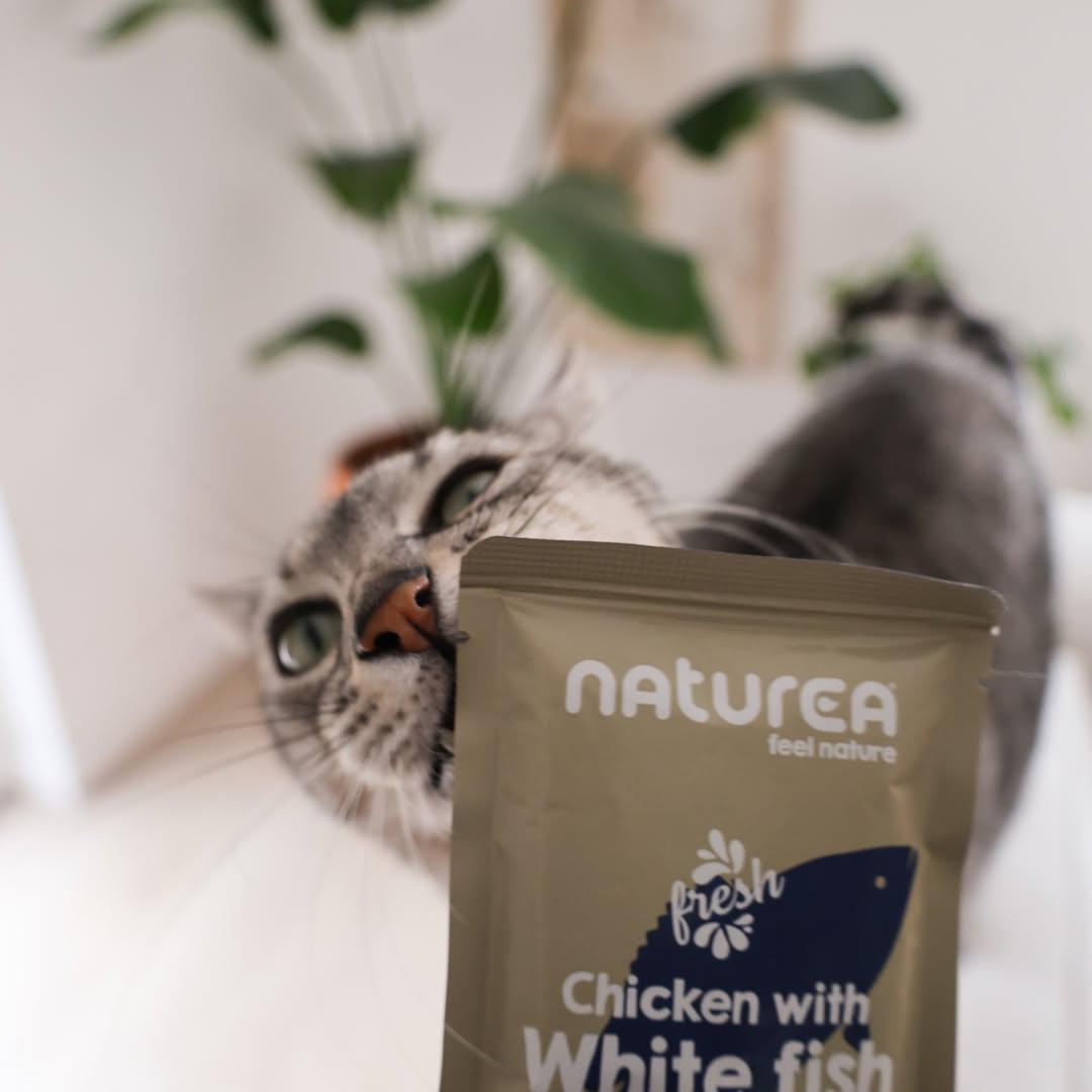 Naturea nedves eledel szép cicával