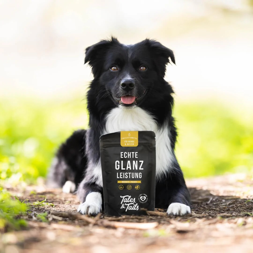 Ragyogó Szőrzet Sörélesztő Por - 100gr