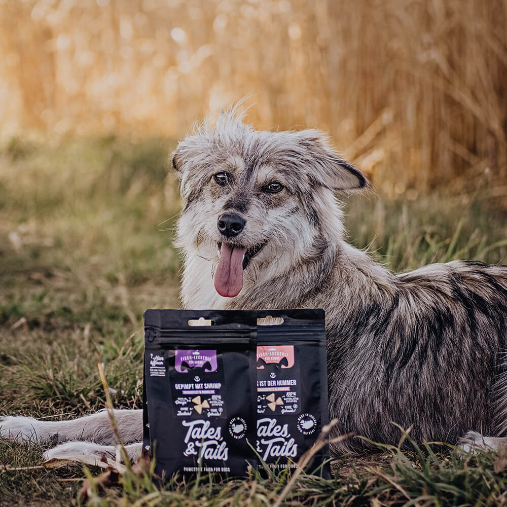 Tales & Tails tőkehal garnélával- jutalomfalat kutyáknak - 70gr