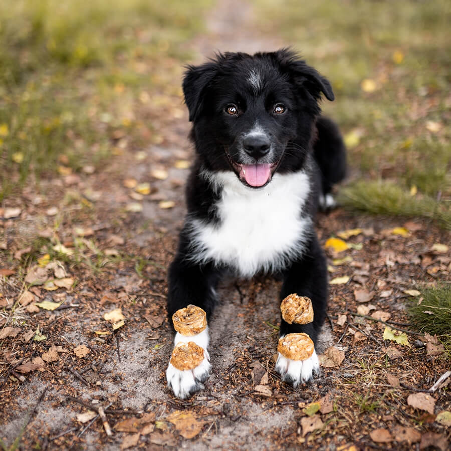Tales & Tails 100% vörös hal rágcsa kutyáknak - 150gr