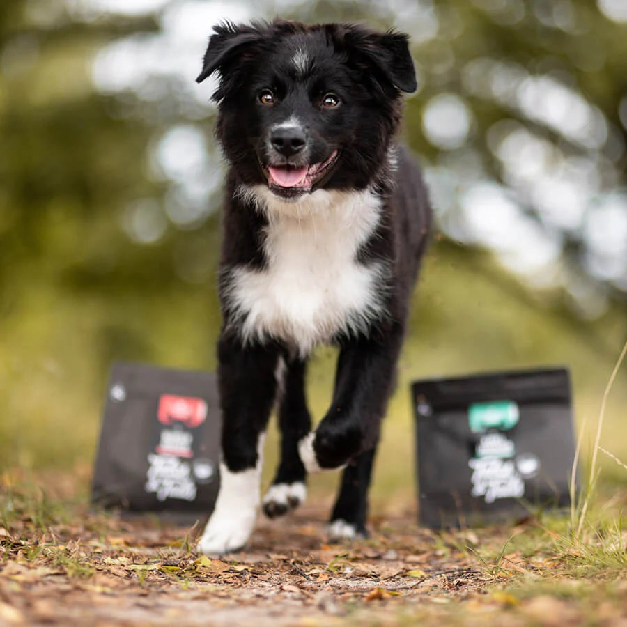 Tales & Tails 100% vörös hal rágcsa kutyáknak - 150gr