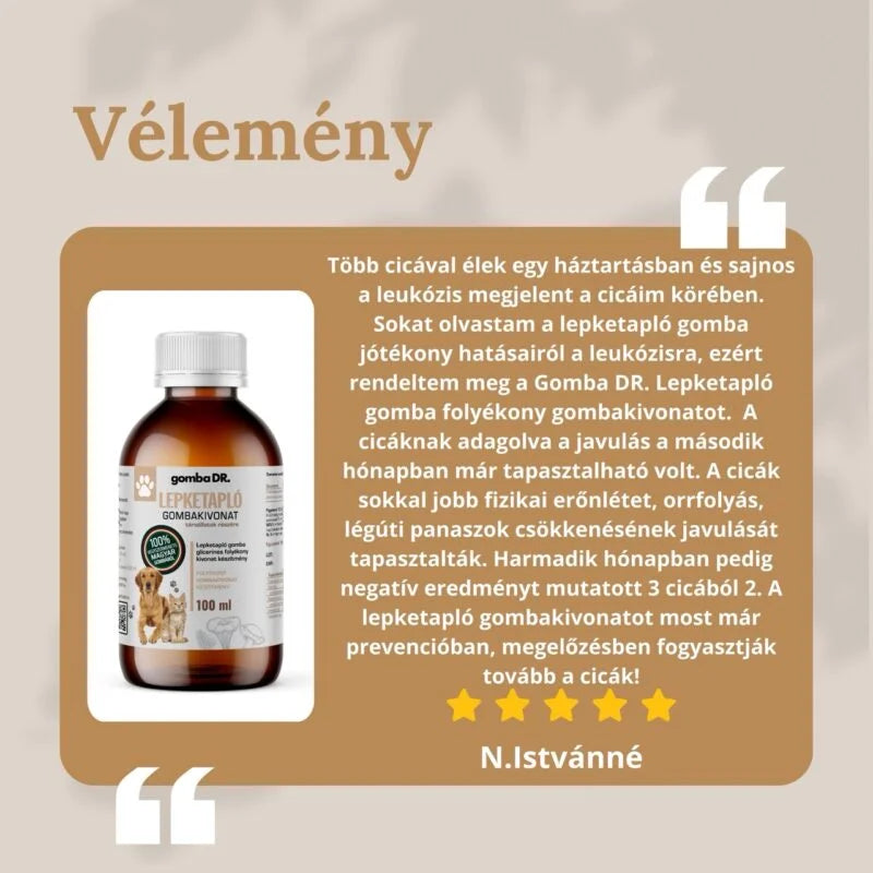 Lepketapló gombakivonat - vásárlói visszajelzés