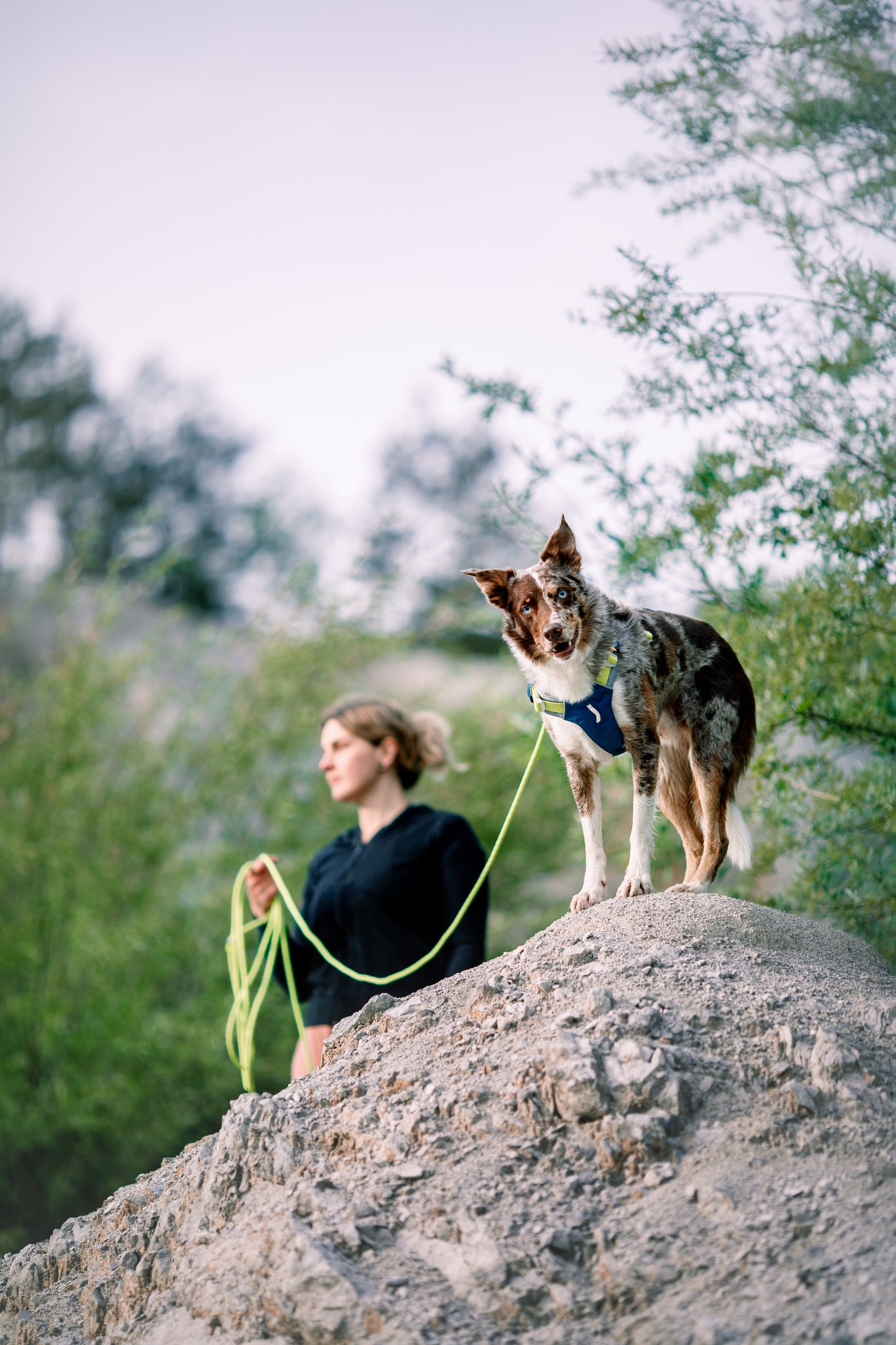Woolly Wolf kötélpóráz 6m hosszú - Lime zöld