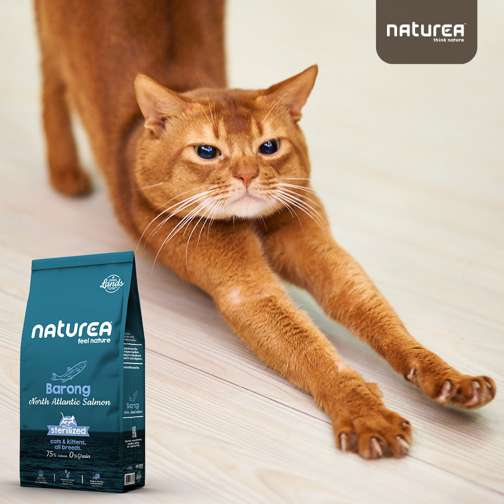 Naturea Barong macskaeledel elégedett és egészséges cicával