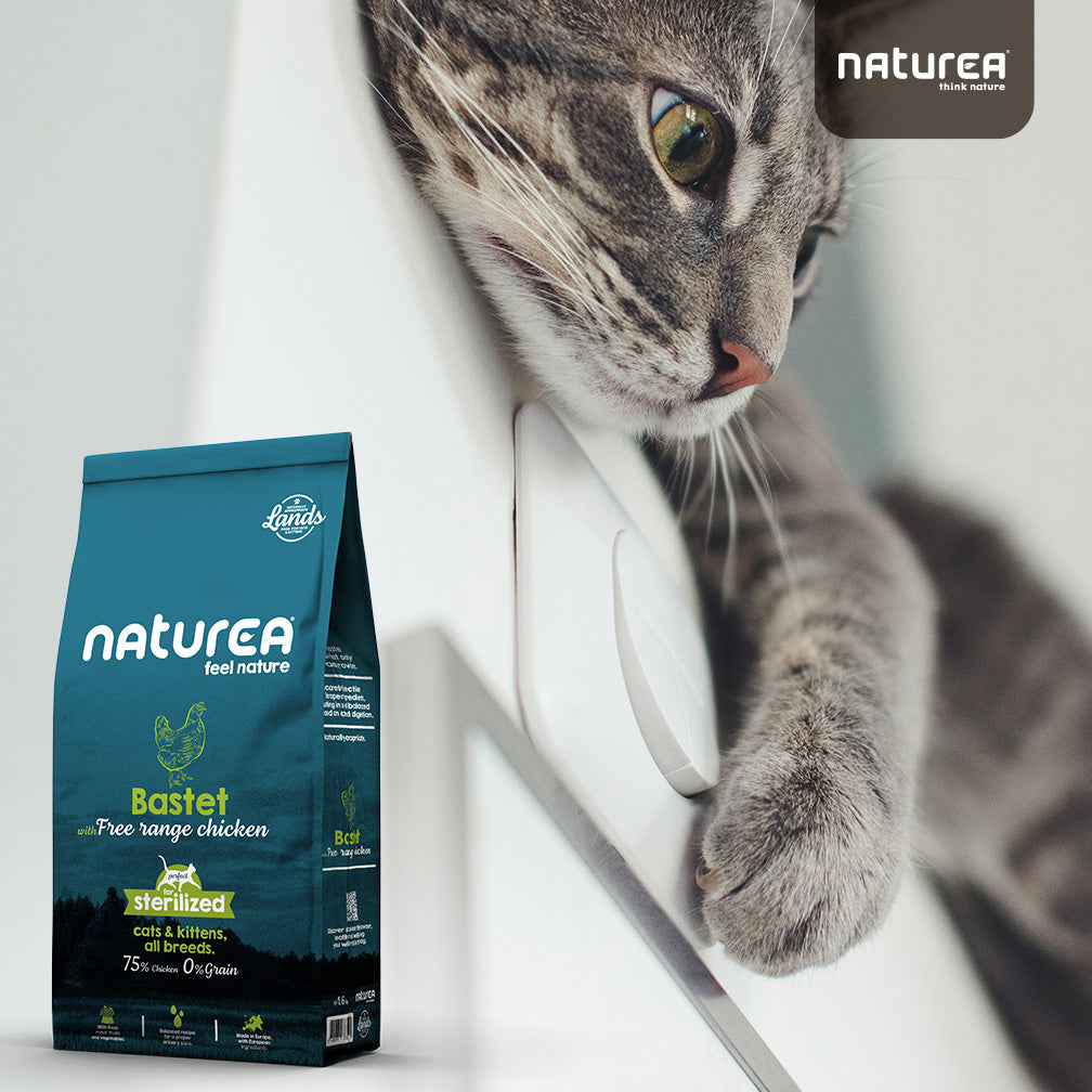 Naturea Bastet száraztáp macskáknak csirkehúsból  elégedett cicával