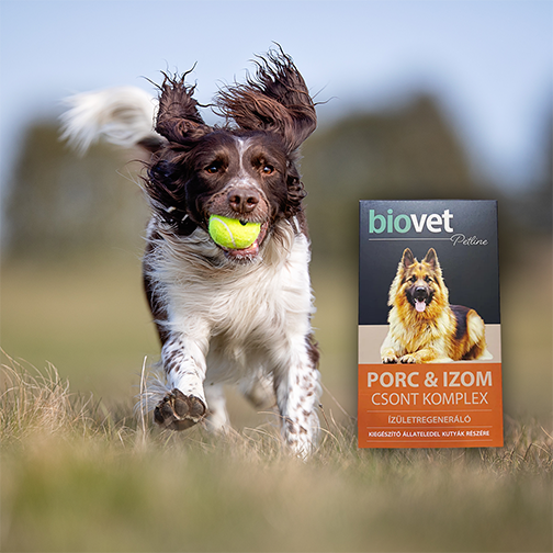 Biovet - Természetes anyagokra épülő ízületvédő szirup - erős ízületekkel rendelkező kutya