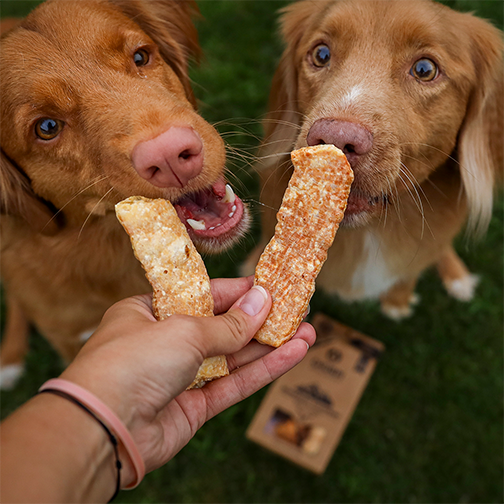Churpi Crunchies - ropogós jak tej rágcsa kutyáknak - kutyák megkóstolják