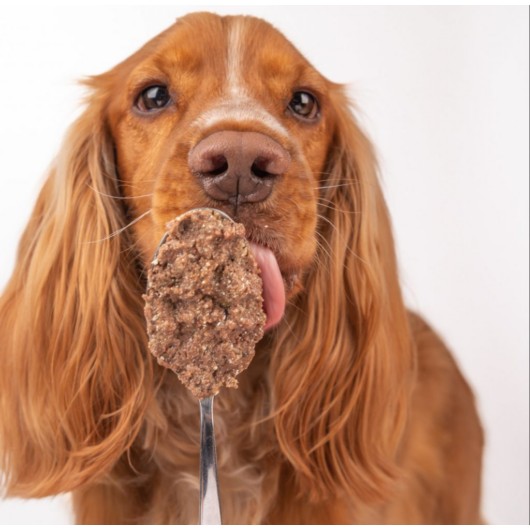 boldog-kutya-cookas-real-duck-nedvestap-kacsahus