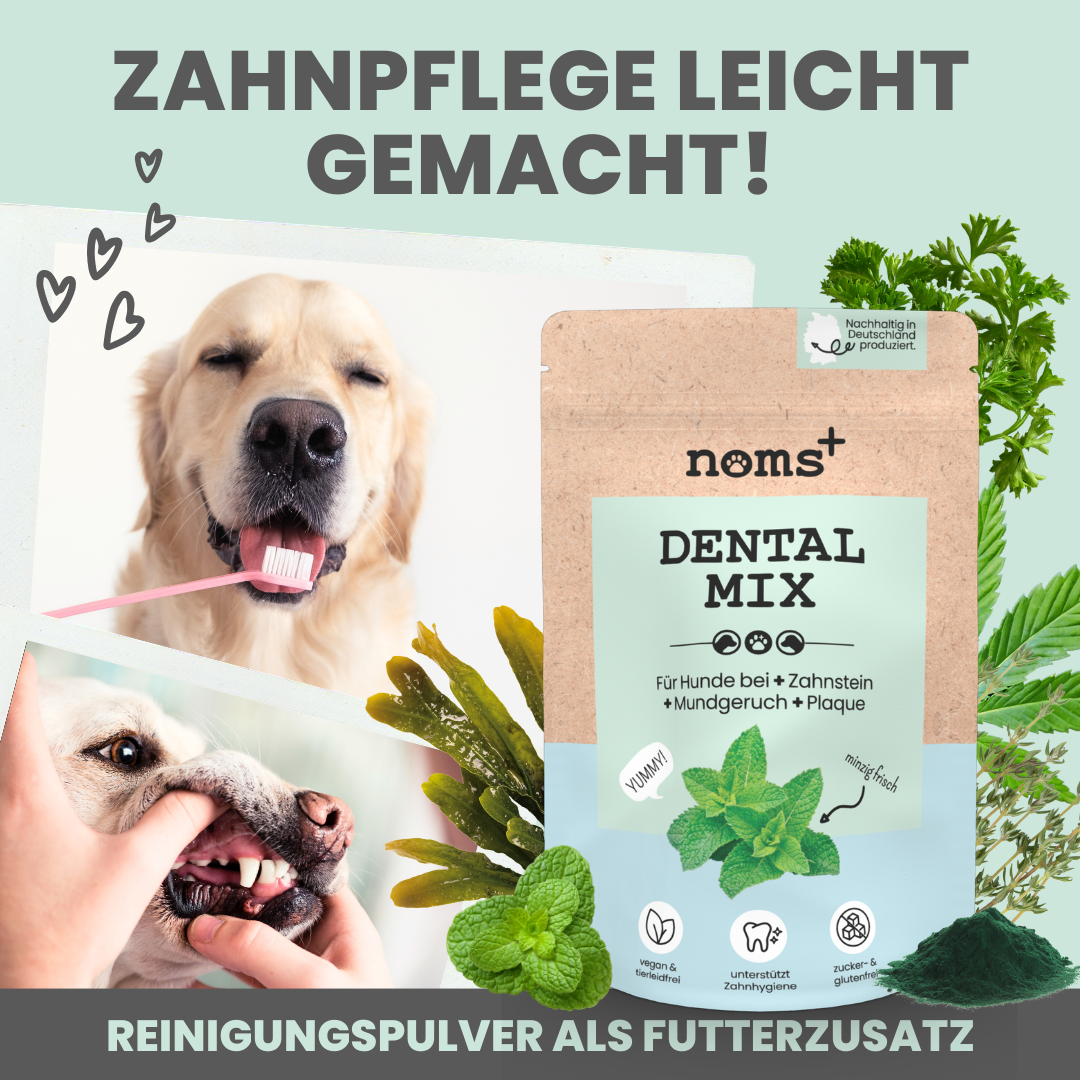 Noms+ Dentalmix természetes fogápoló por kutyáknak