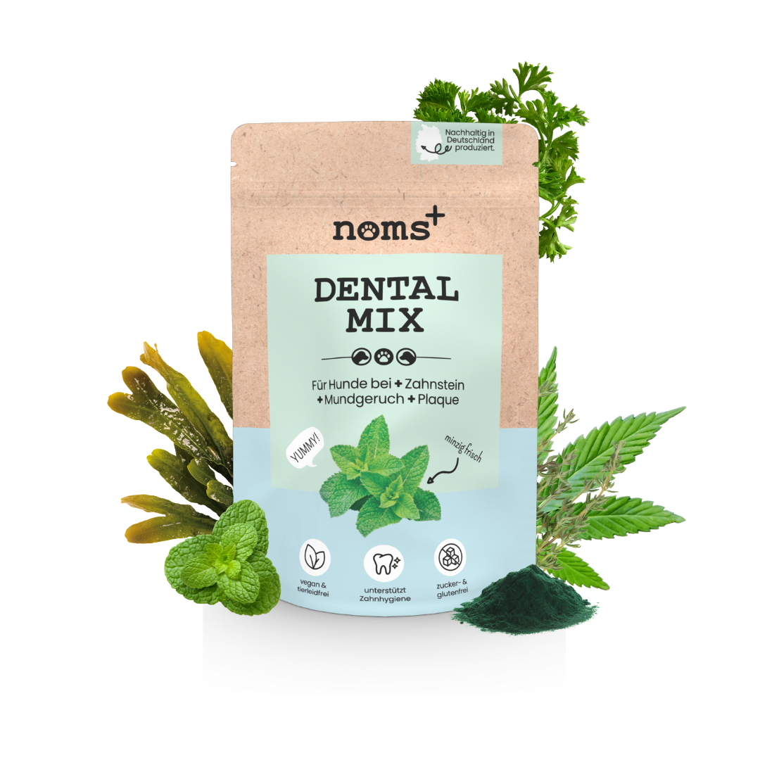 Noms+ Dentalmix vegán fogápoló por kutyáknak