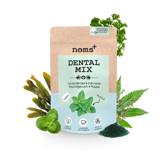 Noms+ Dentalmix vegán fogápoló por kutyáknak