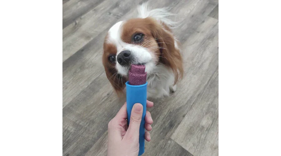 Furry Freeze® fagyipor kutyáknak - CÉKLA