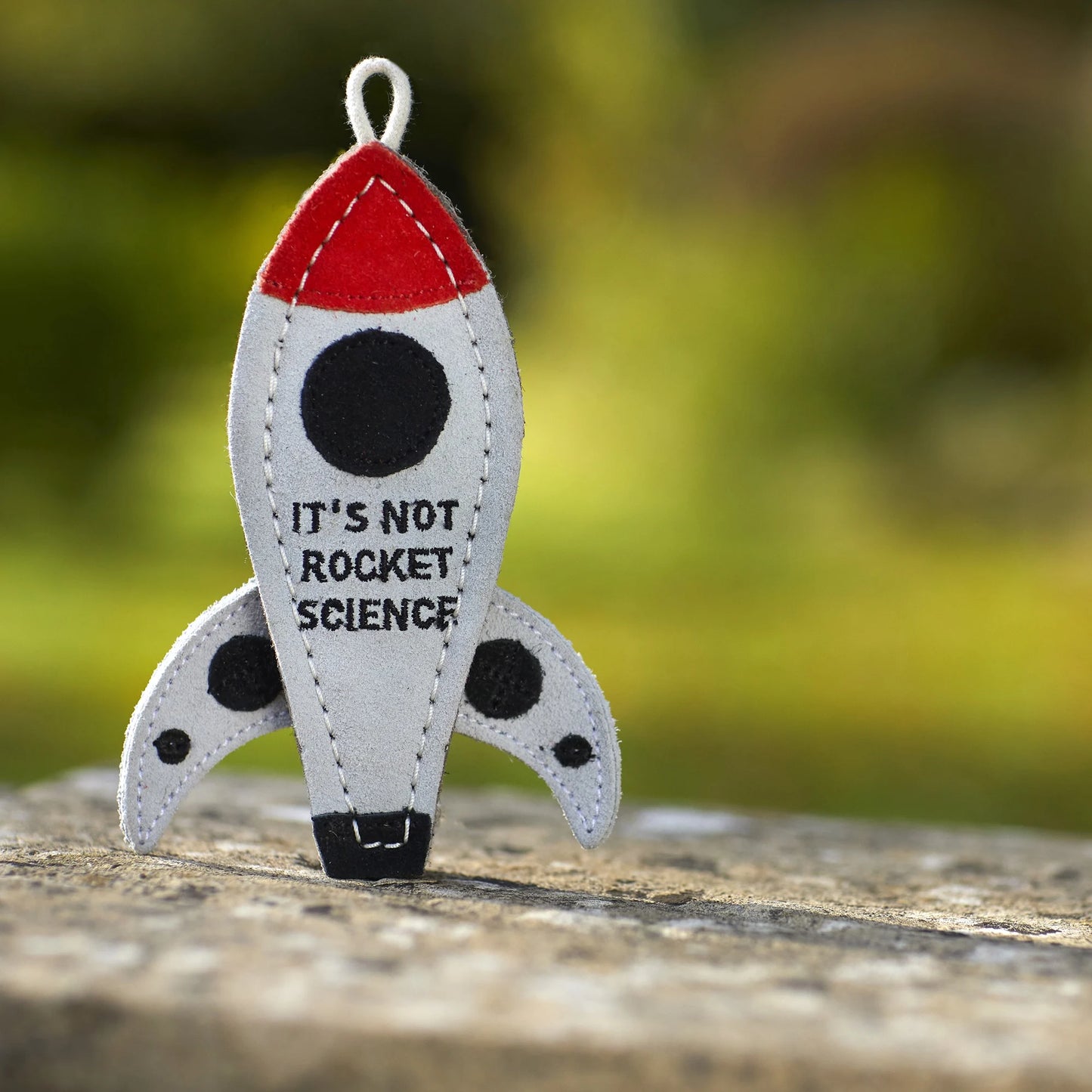 It's not Rocket Science - öko kutyajáték