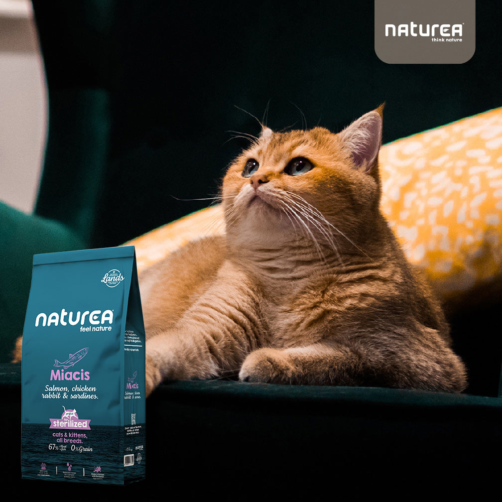 Naturea miacis száraztáp macskáknak elégedett cicával