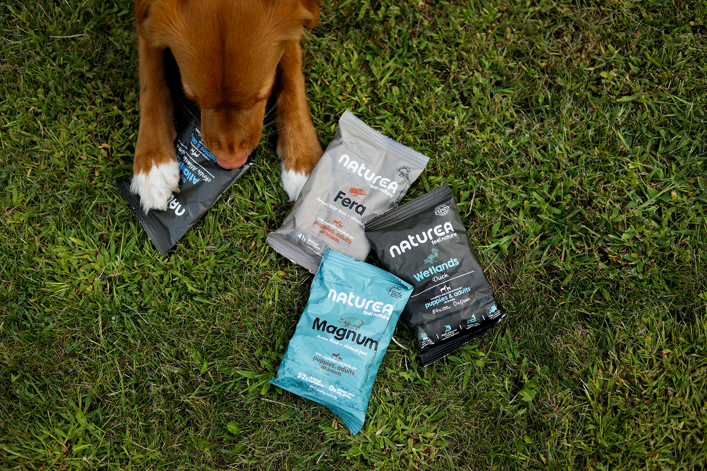 Naturea Naturals MARE - Lazac - Hipoallergén táp kölyök és felnőtt kutyáknak - Kóstoló csomag - 100gr