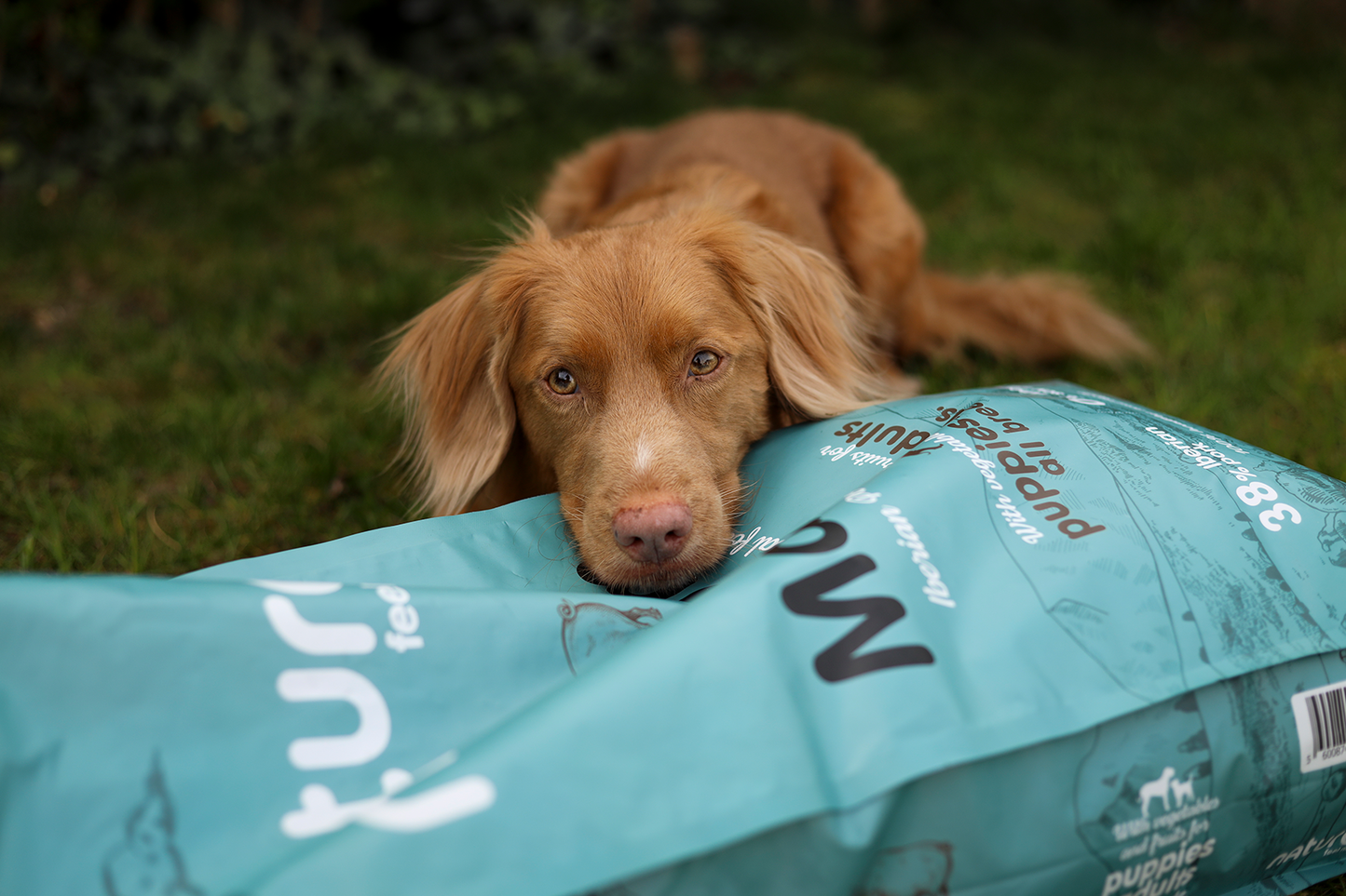 Naturea Naturals MAGNUM Ibériai Sertés Száraztáp kölyök és felnőtt felnőtt kutyáknak