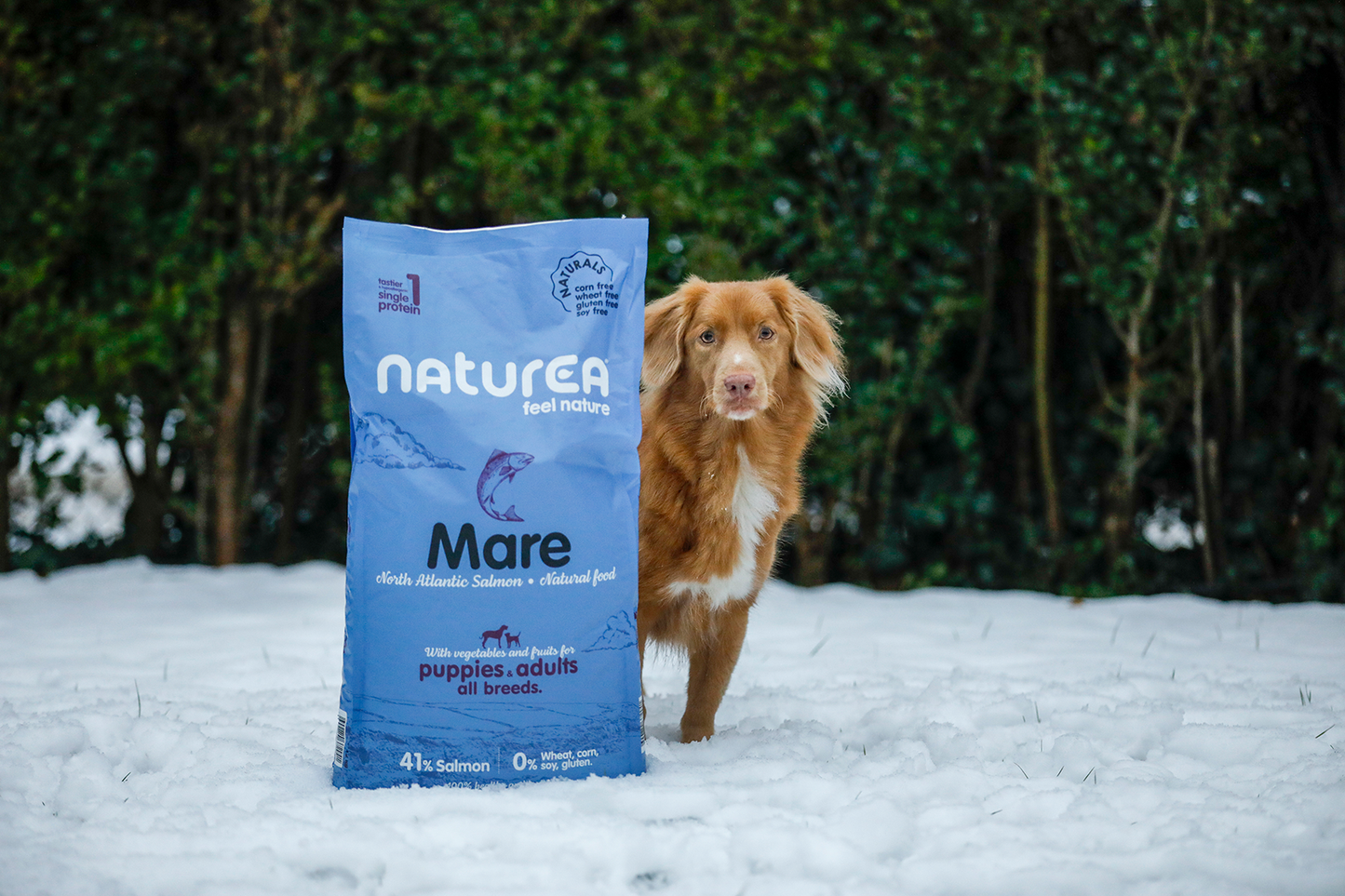 Naturea Naturals MARE - Lazac - Hipoallergén táp kölyök és felnőtt kutyáknak - Kóstoló csomag - 100gr