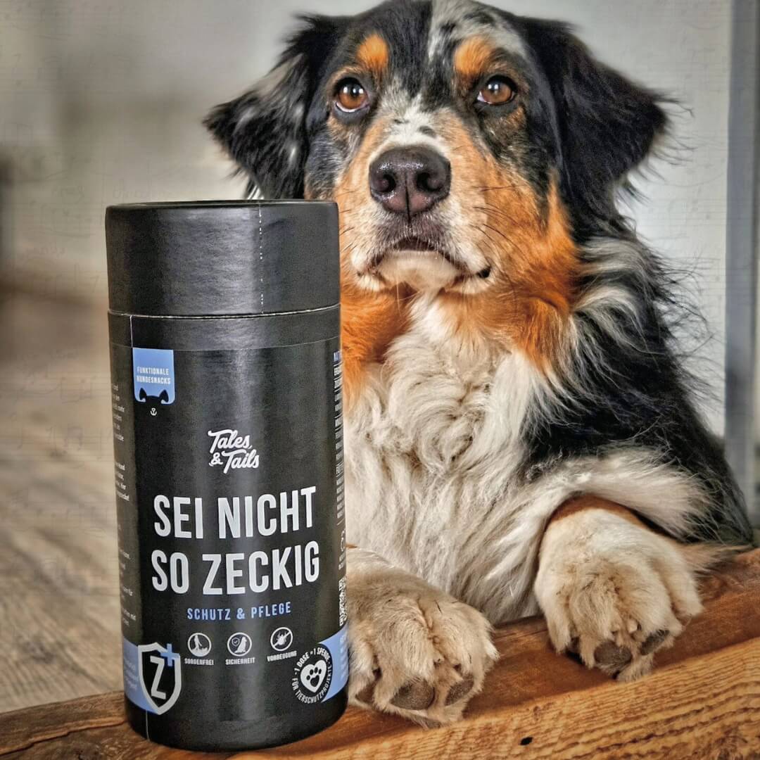 Tales & Tails Funkcionális jutalomfalat kutyáknak - Tűnés kullancsok! - 15gr TESZT csomag