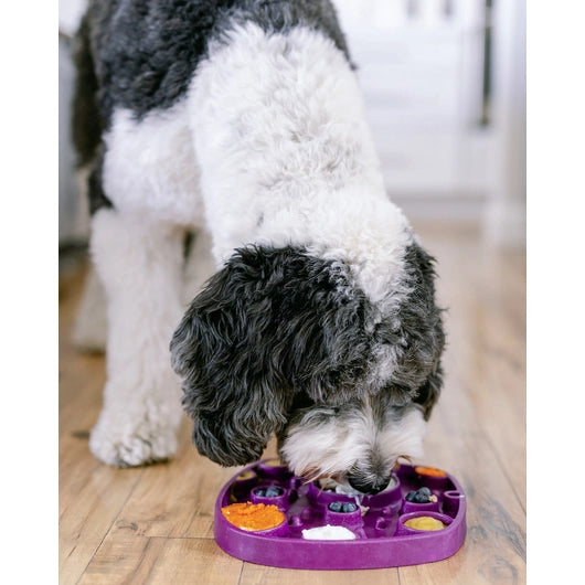 West Paw Feast Mat 2in1 Slow Feeder és Lick Mat Kutyáknak - Waves