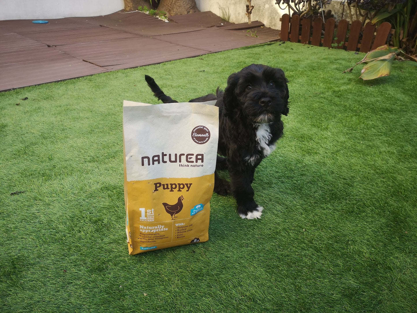 Naturea Elements Kutyatáp kölyök kutyáknak - Kóstoló csomag 100 gr