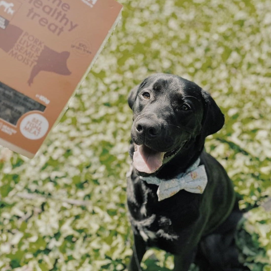 Sertésmáj Félnedves Jutalomfalat Kutyáknak