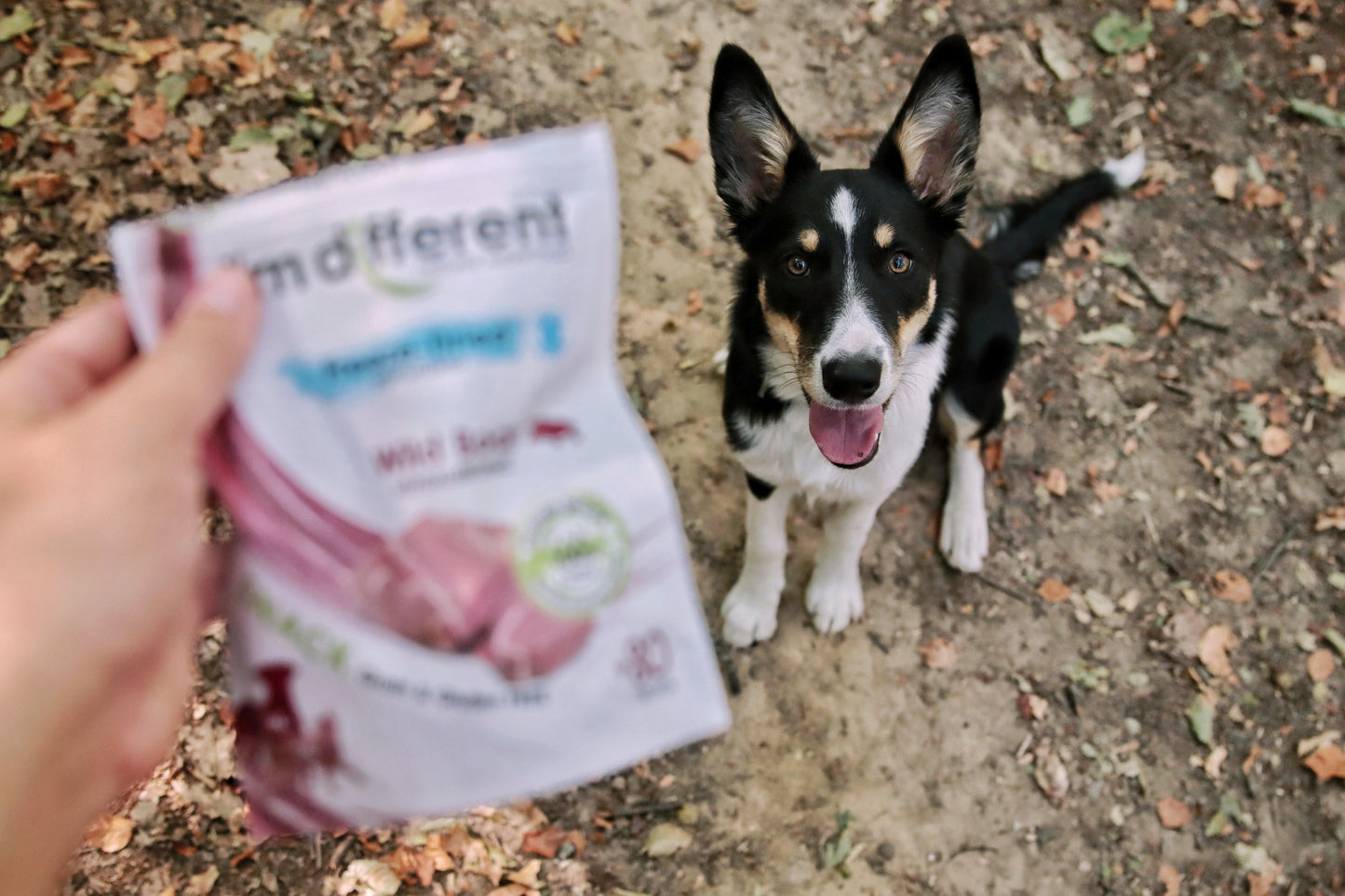 Fagyasztva szárított vaddisznó tréning snack - I'm different