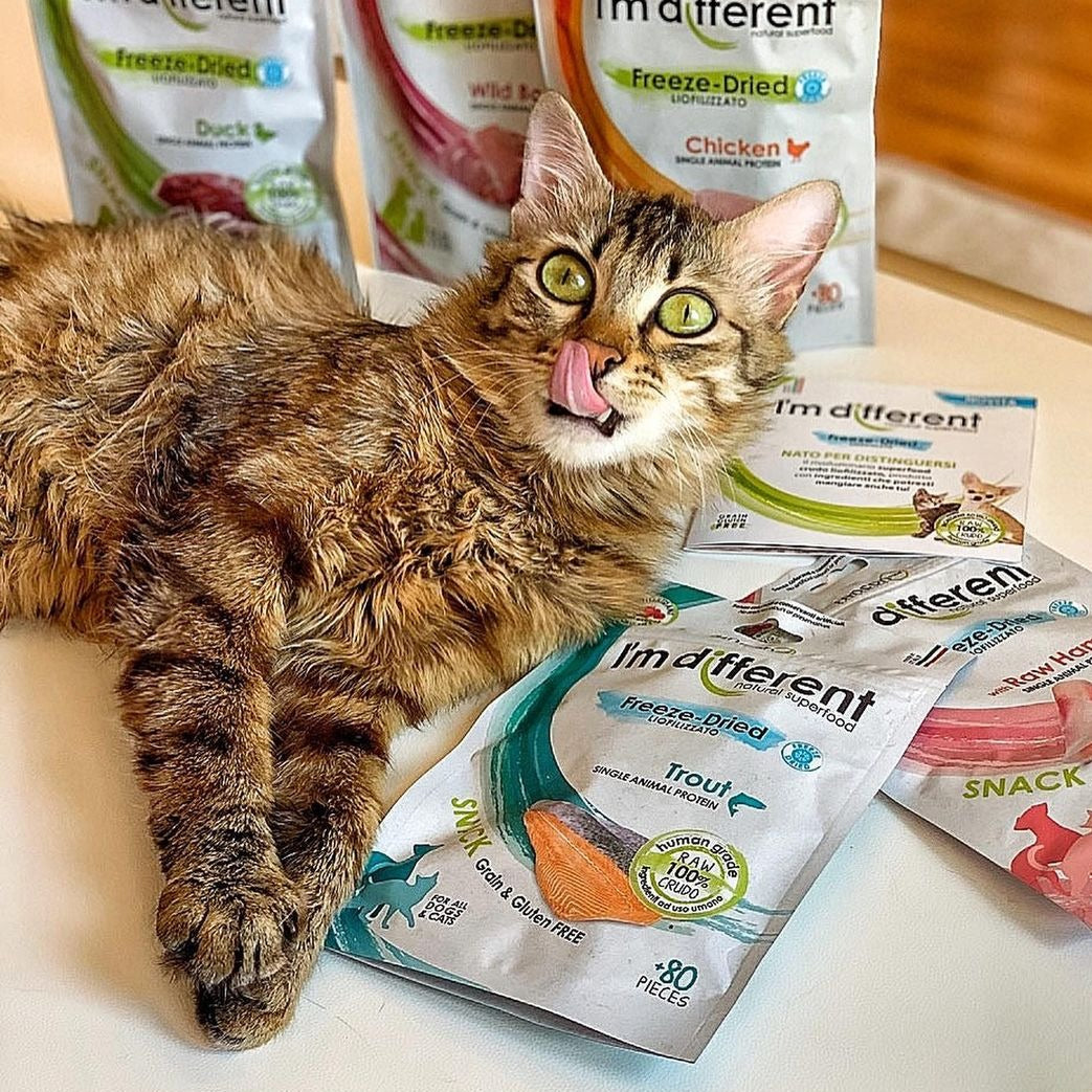 Fagyasztva szárított pisztráng tréning snack - I'm different