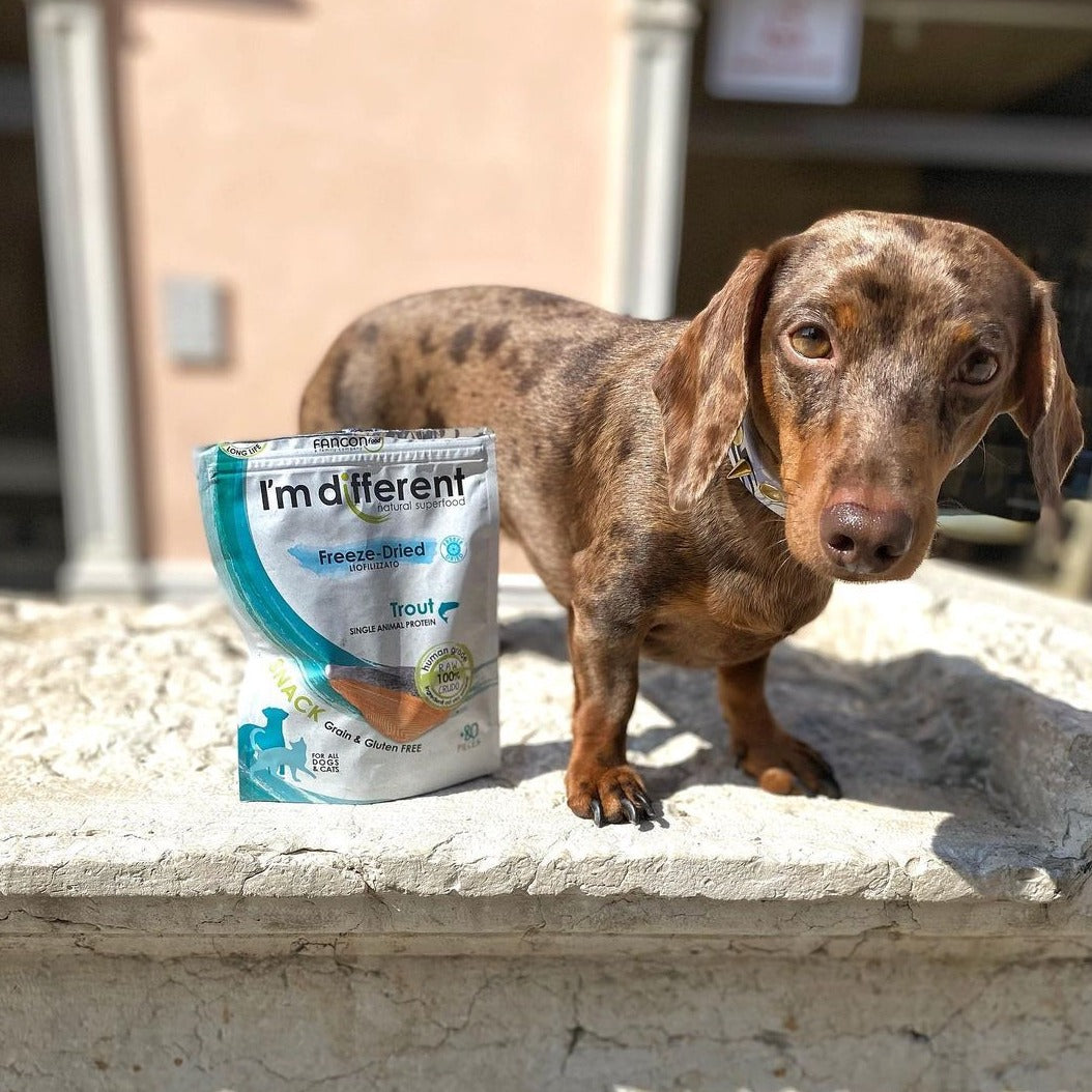 Fagyasztva szárított tokhal tréning snack - I'm different