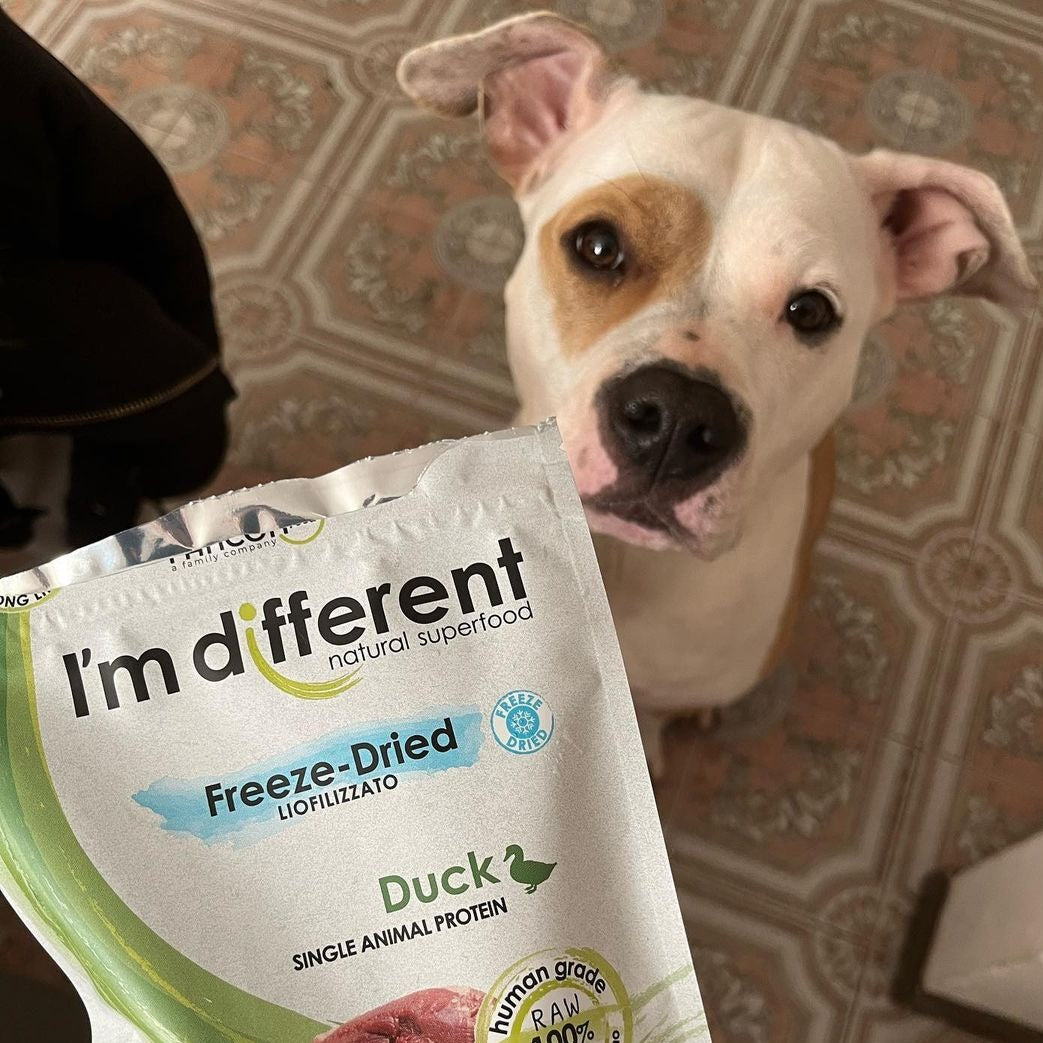 Fagyasztva szárított kacsa tréning snack - I'm different