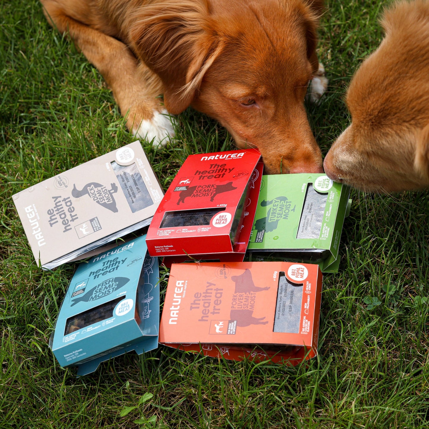 Sertésmáj Félnedves Jutalomfalat Kutyáknak