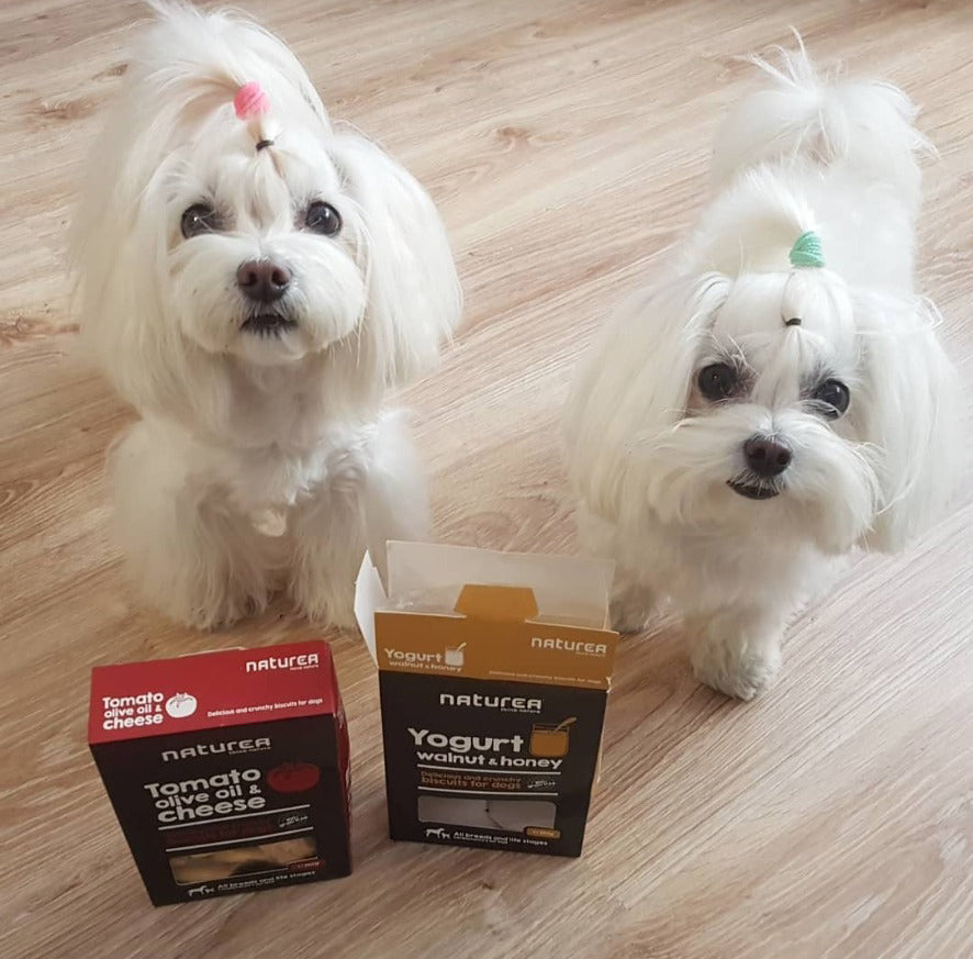 Joghurtos, Diós, Mézes Keksz Kutyáknak