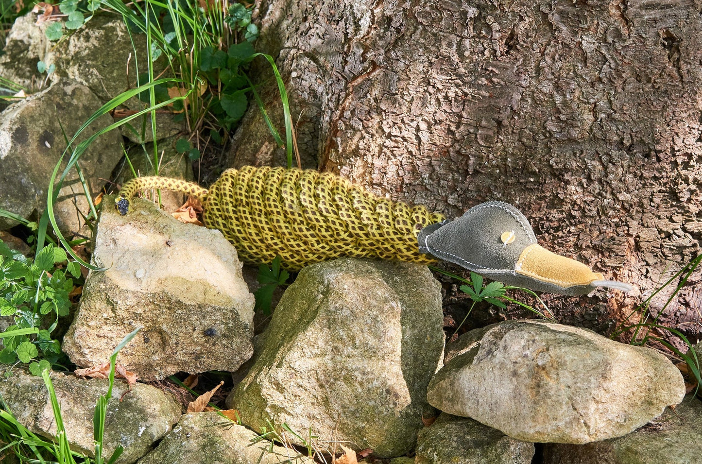 Delilah a kacsa - öko kutyajáték